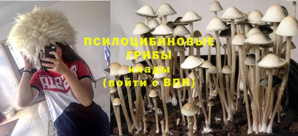 mdpv Лихославль